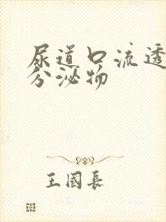 尿道口流透明的分泌物