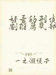 好看的刑侦电视剧推荐几部 前十名