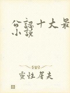 公认十大最好看小说封面