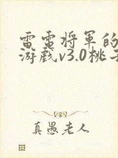 雷电将军的惩罚游戏v3.0桃子移植封面