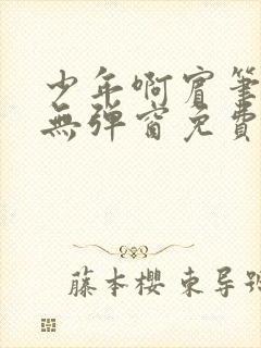 少年啊宾笔趣阁无弹窗免费封面