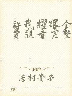 许我耀眼全集免费观看完整版高清