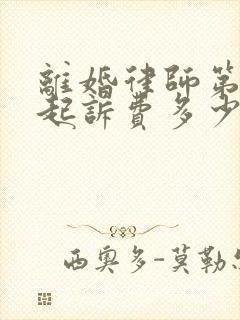 离婚律师第一次起诉费多少钱