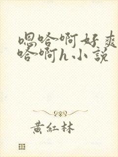 嗯哈啊好爽好深哈啊h小说