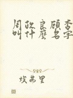 周政良顾杳小说叫什么名字啊