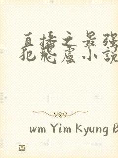 直播之最强通缉犯飞卢小说网