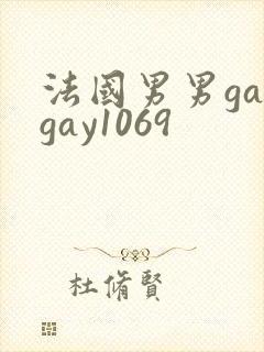 法国男男gaygay1069封面