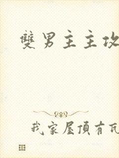 双男主主攻快穿