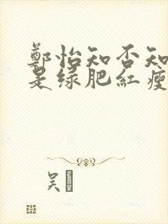 郑怡知否知否应是绿肥红瘦