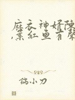 麻衣神婿陈黄皮,叶红鱼有声小说
