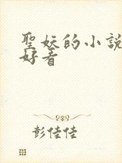 圣妖的小说哪个好看