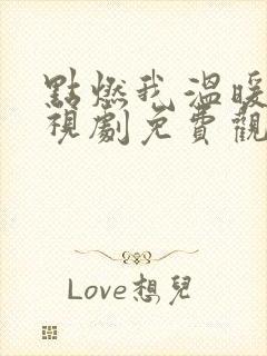 点燃我温暖你电视剧免费观看40集