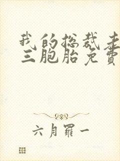 我的总裁老婆是三胞胎免费阅读