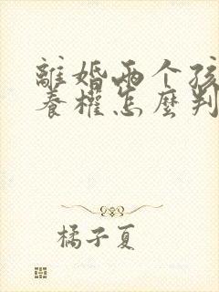 离婚两个孩子抚养权怎么判定