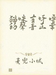 猫咪有呼噜呼噜的声音正常吗