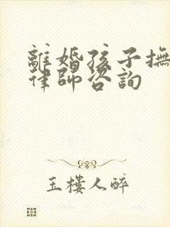 离婚孩子抚养权律师咨询封面