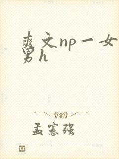 爽文np一女多男h