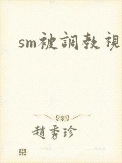 sm被调教视频
