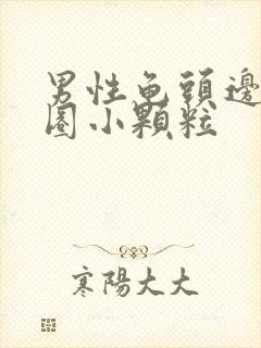 男性龟头边缘一圈小颗粒封面