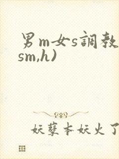 男m女s调教(sm,h)