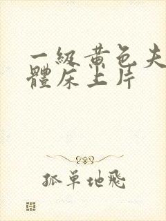 一级黄色夫妻裸体床上片封面