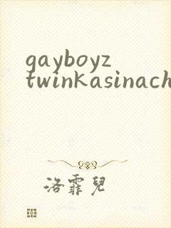 gayboyztwinkasinachinese