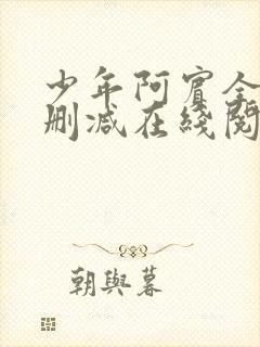 少年阿宾全文无删减在线阅读