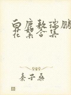 白鹿敖瑞鹏吻戏花絮合集