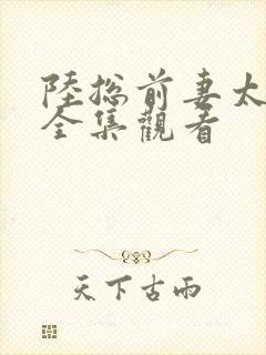 陆总前妻太傲娇全集观看