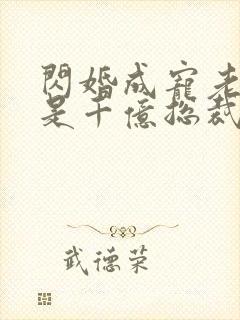 闪婚成宠老公竟是千亿总裁封面