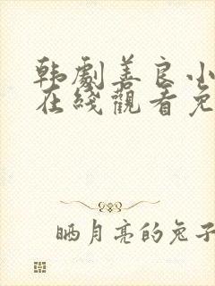 韩剧善良小 子在线观看免费