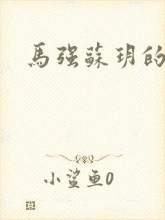 马强苏玥的小说封面