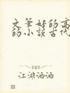 文笔好的高质量的小说古代言情