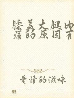 膝盖大腿内侧疼痛的原因有三种