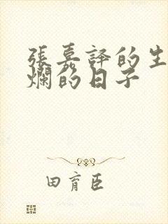 张嘉译的生逢灿烂的日子封面