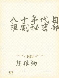 八十年代日本电视剧秘密部队