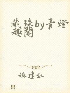 藏珠by青灯笔趣阁