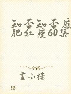 知否知否应是绿肥红瘦60集