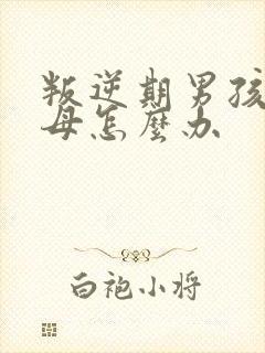 叛逆期男孩骂父母怎么办