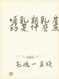 哺乳期乳房痒痒的是什么原因造成的