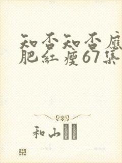 知否知否应是绿肥红瘦67集