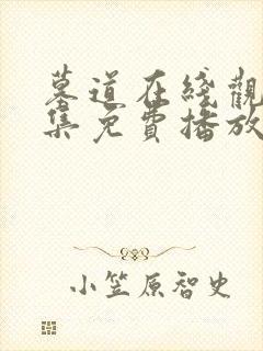 墓道在线观看全集免费播放封面