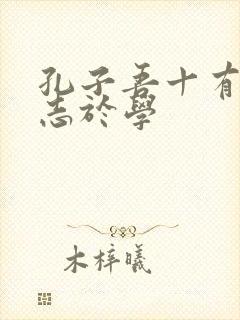 孔子吾十有五而志于学