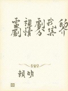 电视剧我的小姨剧情分集介绍