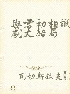 与君初相识电视剧大结局