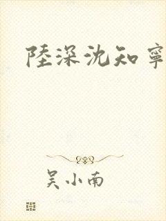 陆深沈知宁结局