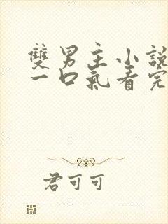 双男主小说甜文一口气看完封面