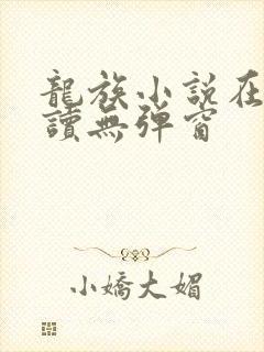 龙族小说在线阅读无弹窗封面