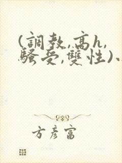 (调教,高h,骚受,双性)小说