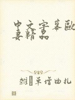 中文字幕欧美人妻精品封面